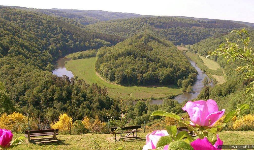 Gite De La Lavandiere A Ucimont Buitenkant foto